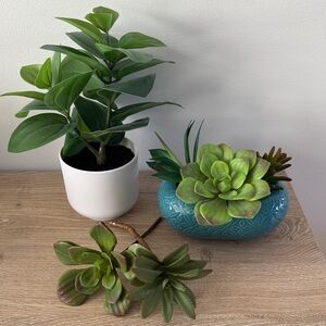 Target Faux Plant + Succulents
